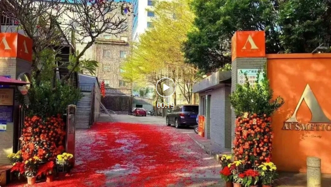 开工大吉 | 2025，澳思美蛇年新程，共赴精彩！